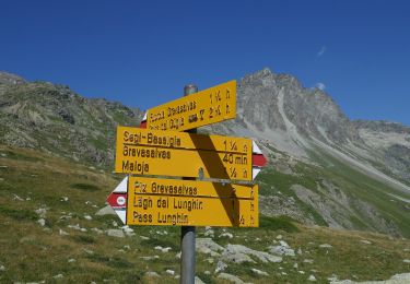 Tocht Te voet Surses - Julier, La Veduta-Furcia Grevasalvas-Plaun da Lej - Photo