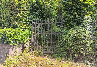 Tocht Stappen Comblain-au-Pont - oneux . hoyemont . chambrale . oneux  - Photo