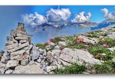 Tocht Stappen Gap - Le Cuchon et Pic de Charance Via Coréo - Photo