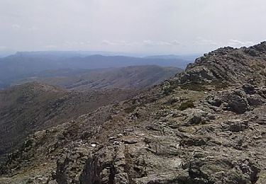 Tocht Te voet Dèsulu/Desulo - Girgini - Rifugio La Marmora - Photo