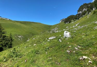 Randonnée Marche Saint-Pierre-d'Entremont - La Croix de l’Alpe 10,7 km - Photo