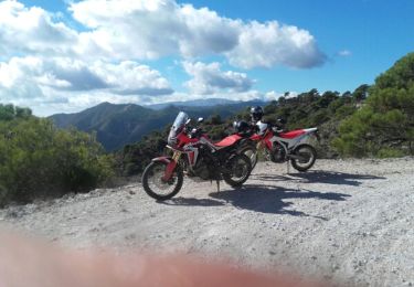 Randonnée Moto-cross Almuñécar - Lentegi Gujar Alto camino des cabras  - Photo