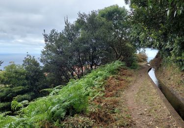 Trail Walking Porto da Cruz - iti 19 - Photo