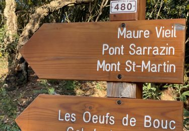 Randonnée Marche Mandelieu-la-Napoule - Grotte des œufs de bouc  - Photo