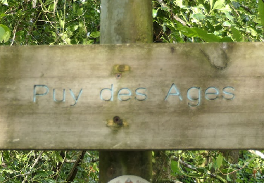 Randonnée Marche Saint-Mesmin - Puy des ages ( Notre dame de Partout) - Photo