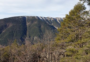 Trail Walking Annot - Chapelle St Pierre  - Photo