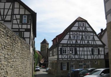 Percorso A piedi Bietigheim-Bissingen - Rundwanderweg 1 - Photo