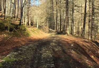 Trail Walking Lecumberry - Irabia pantano boucle par gr11 - Photo