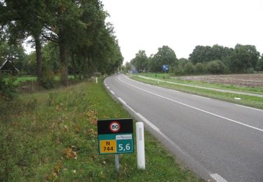 Percorso A piedi Tubbergen - Wandelnetwerk Twente - paarse route - Photo