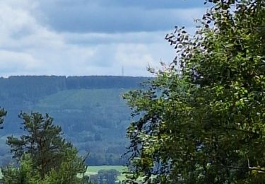 Trail Walking Stoumont - Targnon Promenade de la Sureté - Photo