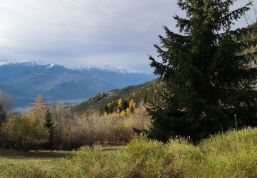 Tocht Noords wandelen Arbaz - les évouettes  - Photo