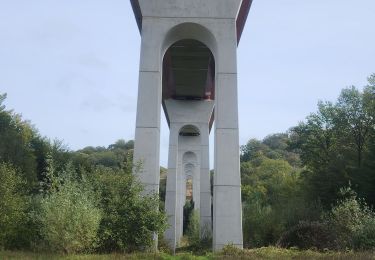 Randonnée Marche nordique Héricourt - marche buissonnière d'hericourt. - Photo