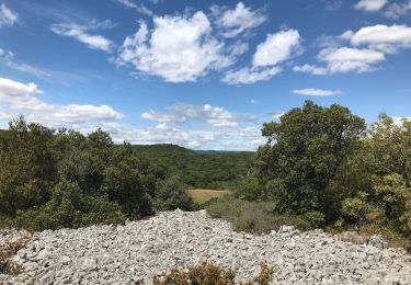 Trail Walking Saint-Gély-du-Fesc - Saint gel y/ Murles - Photo