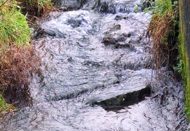 Excursión Senderismo Beyne-Heusay - Beyne Heusay( une partie de la balade du Lynx - Photo