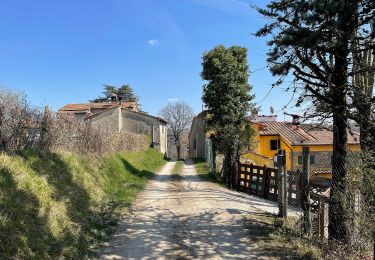 Trail On foot Vernio - Sorgenti di Firenze Trekking - Anello 10: Dalla Calvana all'Appennino - Photo