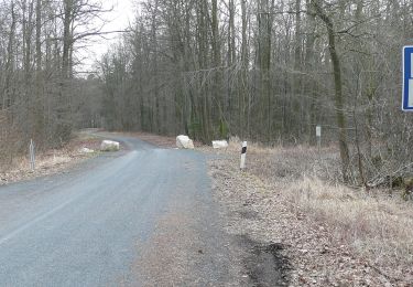 Tocht Te voet Duingen - DU 6 Töpferweg - Photo