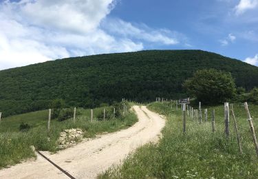 Trail On foot Acqualagna - IT-450 - Photo