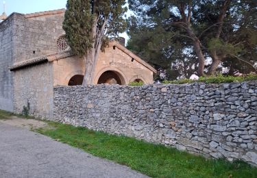 Randonnée Marche Cavaillon - Colline st - Photo