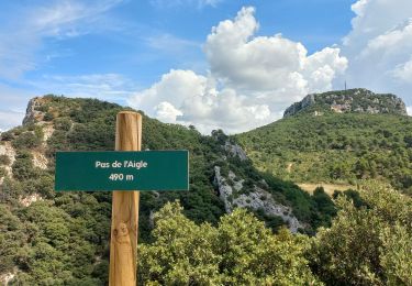 Randonnée Marche Gigondas - Grand Montmirail Cassan St Cosme - Photo