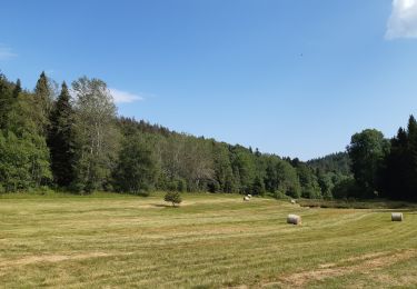 Randonnée Marche Plateau d'Hauteville - Chemin de crête de Valorse - Photo