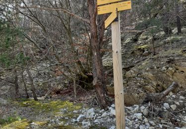 Trail Walking Vesc - bec de jus - Photo