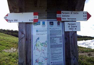 Tour Zu Fuß Erbezzo - Dorsale Alta della Lessinia tratto Parparo di Sopra - Passo Fittanze - Photo