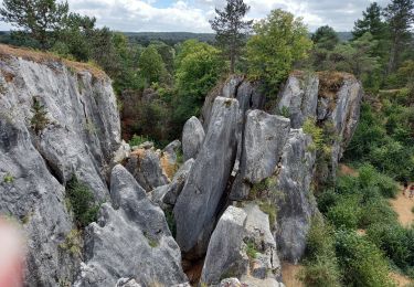 Excursión Senderismo Viroinval - Nismes - Photo