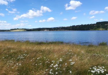 Tocht Stappen Naussac-Fontanes - Lac de Naussac (05 07 2020) - Photo