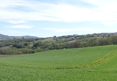 Tocht Stappen Authezat - Château de Chadieu (Montpeyroux) - Photo