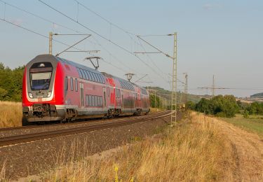 Tour Zu Fuß Gemünden am Main - Ortswanderweg Gemünden 4 - Photo