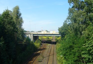 Randonnée A pied Szklary Górne - Szklary Górne - Lubin - Photo