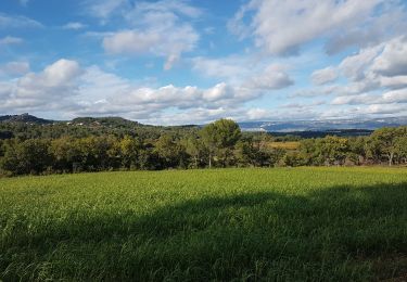 Excursión Senderismo Vernègues - Vernègues, Jeansine, château bas, Victoire ch. des Bastides. - Photo