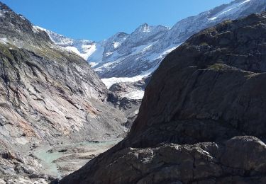 Excursión Senderismo Les Contamines-Montjoie - Glacier Tré la Têt - Photo