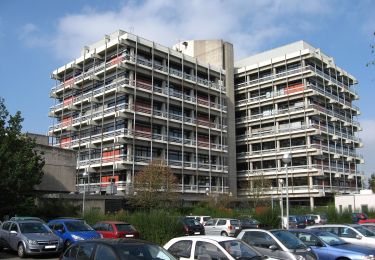 Randonnée A pied Mühltal - Rundwanderweg 3: Brünnen- und Quellen-Weg - Photo