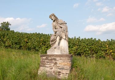 Tocht Te voet Söding-St. Johann - Stallhofner Rundweg - Photo