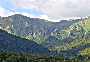 Tour Wandern Chambon-sur-Lac - Chambon_Lac_Voissiere - Photo