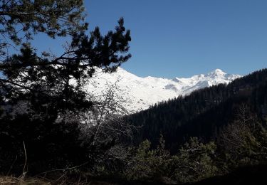 Tocht Sneeuwschoenen Valloire - col du Télégraphe  - Photo