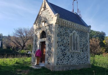 Tour Wandern La Croix-Valmer - La chapelle de Pardigon - Photo