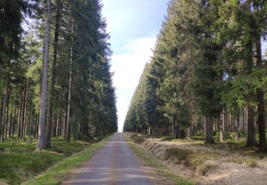 Trail Cycle Eupen - Ovelo - The High Fens in the eastern part of the Hertogenwald - Photo