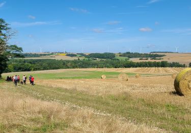 Tour Wandern Épaux-Bézu - Epaux-Bézu du 28-07-2024 - Photo