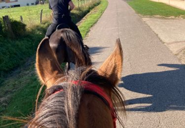 Tocht Paardrijden Fréménil - Kalio tiboy - Photo