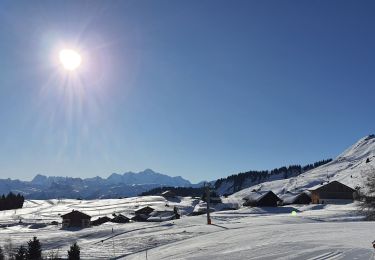 Tour Schneeschuhwandern Taninges - Praz de Lys - Photo