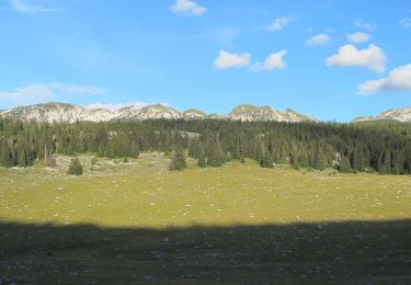 Trail Walking Villard-de-Lans - Traversée diagonale du Vercors Etape 1  - Photo