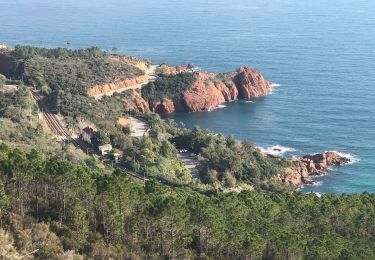 Tour Wandern Saint-Raphaël - 4 cols pic de l’ours et les grues - Photo