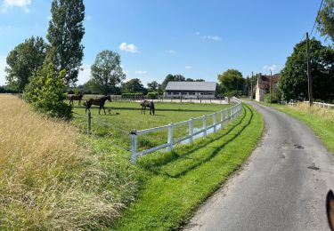 Randonnée sport Luynes - Rando 2 - Photo