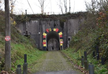 Tocht Stappen Chaudfontaine - 20201210 - Embourg 7.8 Km - Photo