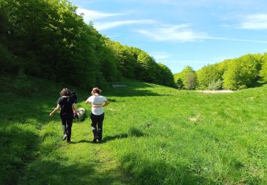 Tocht Stappen Omblèze - Le saut de la Truite - Photo