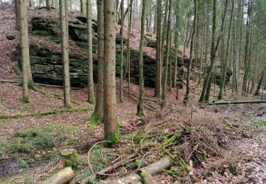 Trail Walking Beaufort - petite suisse  - Photo