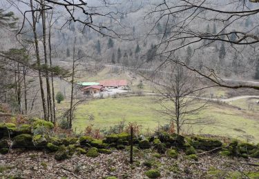 Tocht Stappen Sewen - Lac d Akfeld Boedelen - Photo