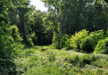 Tour Zu Fuß Unbekannt - Panozzalacke Rundweg - Photo